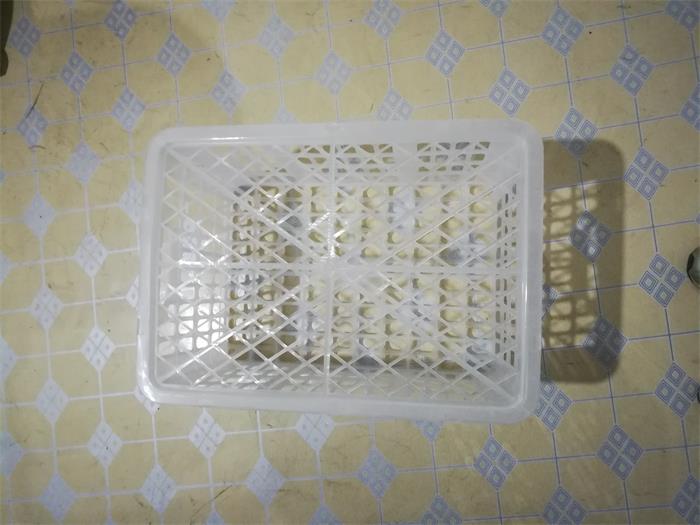 桔框白色